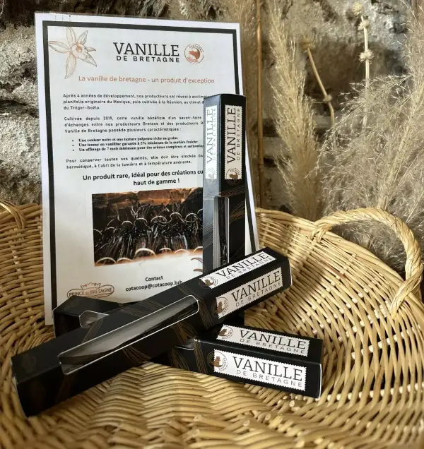 Vanille de Bretagne
